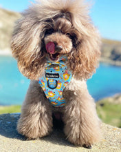 Load image into Gallery viewer, Honey Heist Harness