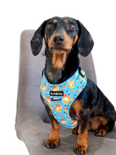 Load image into Gallery viewer, Honey Heist Harness