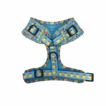 Load image into Gallery viewer, Honey Heist Harness