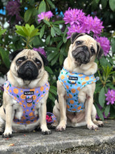 Load image into Gallery viewer, Barkeroni Harness