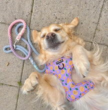 Load image into Gallery viewer, Pizza My Heart Harness