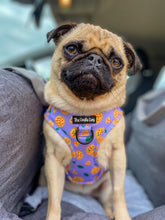 Load image into Gallery viewer, Pizza My Heart Harness