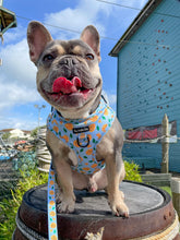 Load image into Gallery viewer, Barkeroni Harness