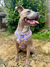 Load image into Gallery viewer, Pizza My Heart Harness