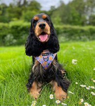 Load image into Gallery viewer, Pizza My Heart Harness