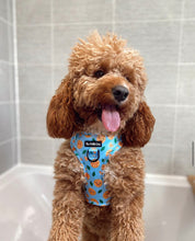 Load image into Gallery viewer, Barkeroni Harness