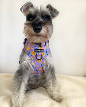 Load image into Gallery viewer, Pizza My Heart Collar