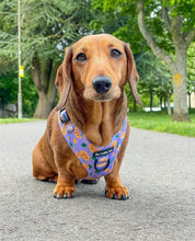 Load image into Gallery viewer, Pizza My Heart Harness