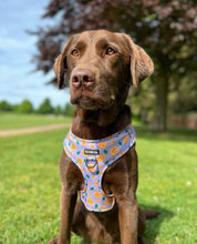 Load image into Gallery viewer, Pizza My Heart Harness