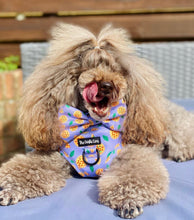 Load image into Gallery viewer, Pizza My Heart Harness