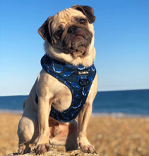 Load image into Gallery viewer, Whaling Around Harness