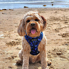 Load image into Gallery viewer, Whaling Around Harness