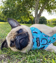 Load image into Gallery viewer, All Or Puffin Harness