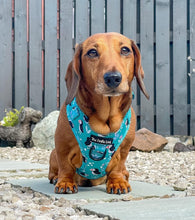 Load image into Gallery viewer, All Or Puffin Harness