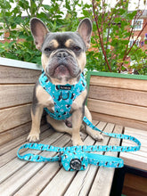 Load image into Gallery viewer, All Or Puffin Harness