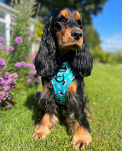 Load image into Gallery viewer, All Or Puffin Harness