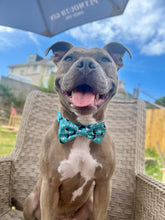 Load image into Gallery viewer, All Or Puffin Bow Tie