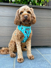 Load image into Gallery viewer, All Or Puffin Harness