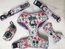 Load image into Gallery viewer, Summer Meadow Harness