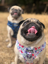 Load image into Gallery viewer, Summer Meadow Harness