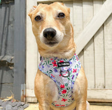 Load image into Gallery viewer, Summer Meadow Harness