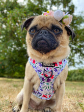 Load image into Gallery viewer, Summer Meadow Harness
