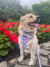 Load image into Gallery viewer, Summer Meadow Harness