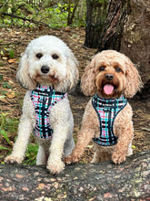 Load image into Gallery viewer, Peppermint Plaid Harness
