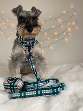 Load image into Gallery viewer, Peppermint Plaid Harness