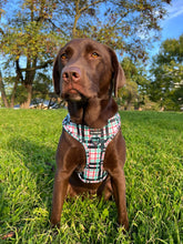Load image into Gallery viewer, Peppermint Plaid Harness