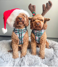 Load image into Gallery viewer, Peppermint Plaid Harness