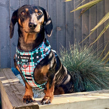 Load image into Gallery viewer, Peppermint Plaid Harness