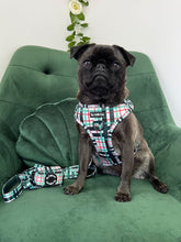 Load image into Gallery viewer, Peppermint Plaid Harness