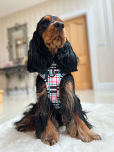Load image into Gallery viewer, Peppermint Plaid Harness