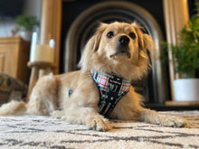Load image into Gallery viewer, Peppermint Plaid Harness