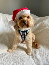 Load image into Gallery viewer, Peppermint Plaid Harness