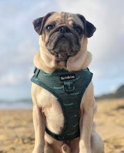 Load image into Gallery viewer, Croc N Roll Harness