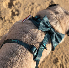 Load image into Gallery viewer, Croc N Roll Harness