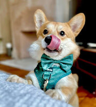 Load image into Gallery viewer, Croc N Roll Bow Tie