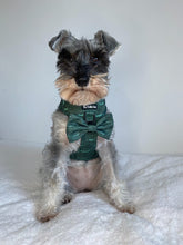 Load image into Gallery viewer, Croc N Roll Bow Tie