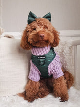 Load image into Gallery viewer, Croc N Roll Harness