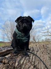 Load image into Gallery viewer, Croc N Roll Harness