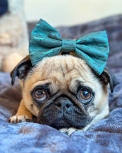 Load image into Gallery viewer, Croc N Roll Bow Tie