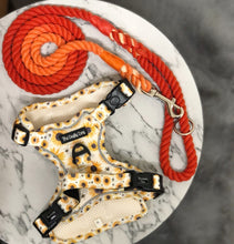 Load image into Gallery viewer, Sunpower Explorer Harness - *SECONDS *