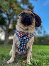 Load image into Gallery viewer, Grandad Plaid Harness