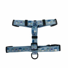 Load image into Gallery viewer, Funguy