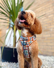 Load image into Gallery viewer, Grandad Plaid Harness