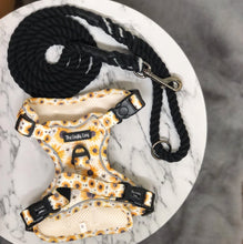 Load image into Gallery viewer, Sunpower Explorer Harness - *SECONDS *