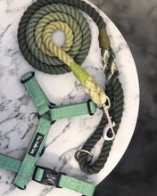 Load image into Gallery viewer, Sparkler - Sage Strap Harness