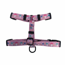 Load image into Gallery viewer, Blushroom